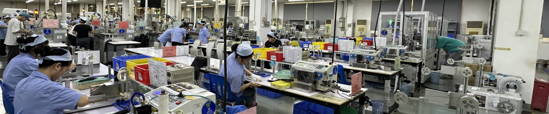 New products & business report
