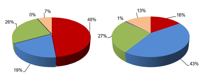 Business report for product and market